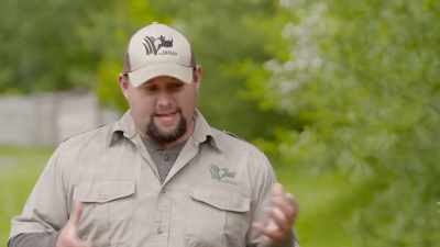 The problem with taking babe
back to the barn - Secrets of the Zoo