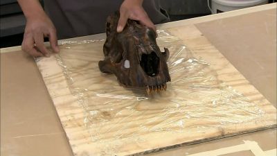 THE PROCESS STARTS
WITH A REAL SKULL. - How It's Made