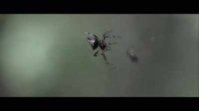 ...the procreative act complete. - The Evil Within
