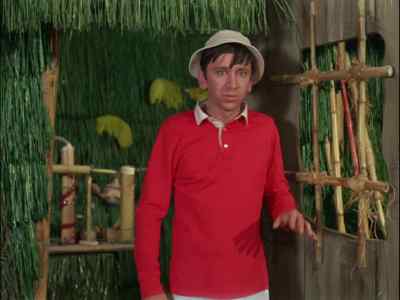 THE PROFESSOR WAS RIGHT. - Gilligan's Island
