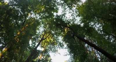 The programs in the
subconscious mind - Heal