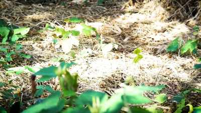 The property was one
that Solomon had worked on. - 35 Serial Killers the World Wants to Forget