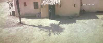 The Prophet had entrusted
Imam Ali with a most important
task, - The Lady of Heaven