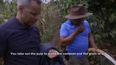 The pulpa for compost.
The pulp. - Impact x Nightline