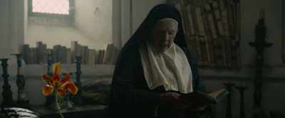 The purple and white
lords it above the Gouda, - Tulip Fever