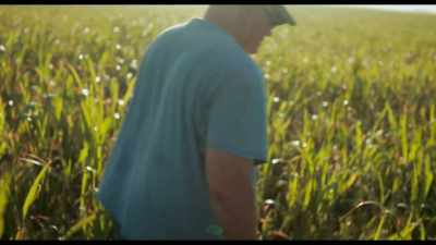 The purpose of a cover crop - Kiss the Ground