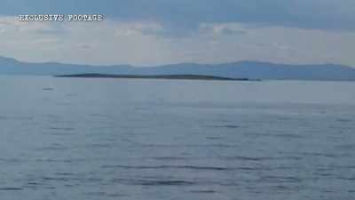 The quality is poor, - The Alaska Triangle