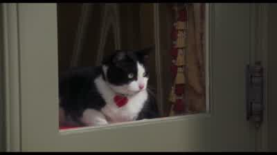 The queen would not approve of spying. - The Princess Diaries 2: Royal Engagement