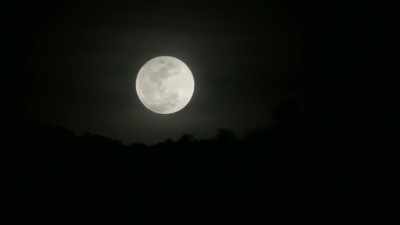 The question is did those people
come up empty handed or not? - Lust for Gold: A Race Against Time