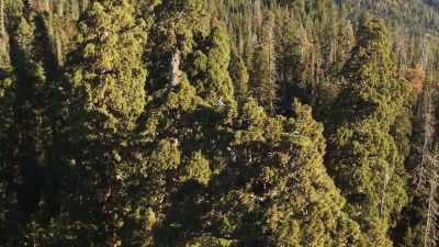 The question is, can we curb
climate change sufficiently - The Green Planet