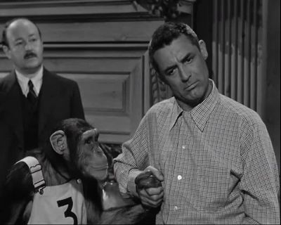 The question is - Monkey Business