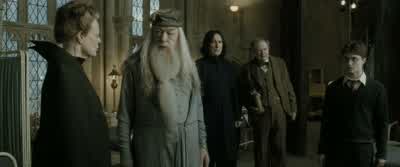 The question is,why were they necessary? - Harry Potter and the Half Blood Prince