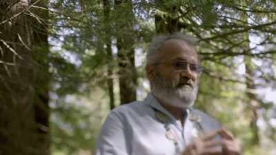 The race of...
has two distinct tribes. - Expedition Bigfoot