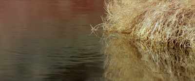The radiation
is in the water, - Downwind