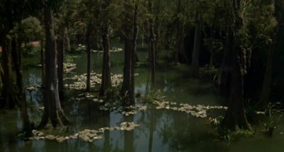 The rainbow connection - The Muppet Movie