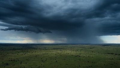 The rains have arrived. - Big Beasts