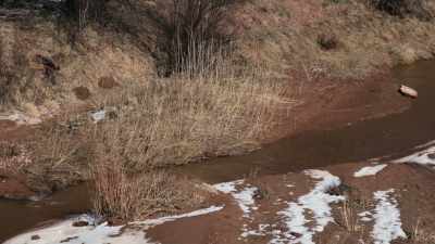 The rancher who owned them
rode out to parley. - The American Buffalo