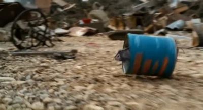 The rat is not - Charlotte's Web