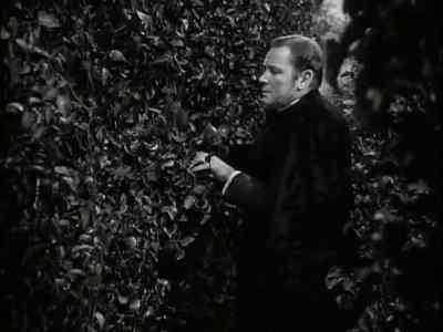 The raven Dickon . . - The Secret Garden