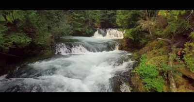 The realization that 
nature is not, after all, - The End of Quantum Reality