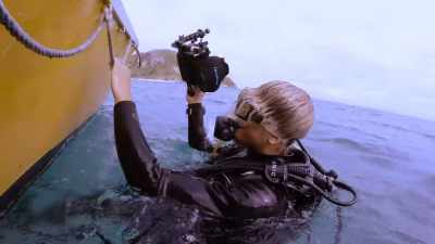 The reason we built the time-lapse systems
was it seemed absurd - Chasing Coral
