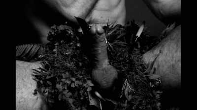 The reason I wanted to
do this shoot, actually, - Me and My Penis