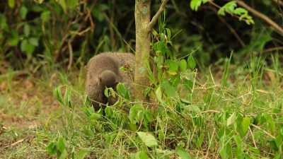 The relationships
between his sisters and their mentors - Wild Babies