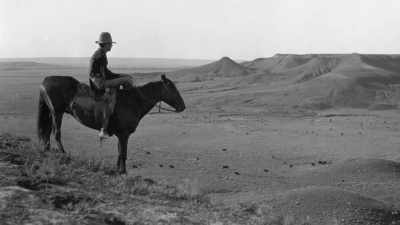The remainder
was declared "surplus" - The American Buffalo