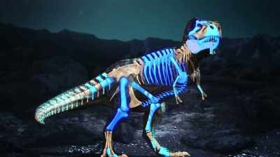 THE REMAINING PIECES
COULD BE IN THE JACKETS - Dino Hunters