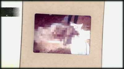 the remains of a human body. - Buried In The Backyard