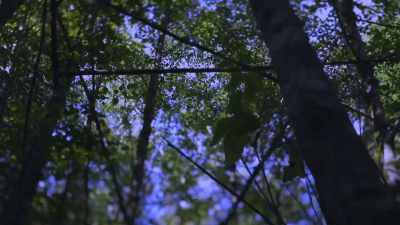  The remarkable similarities
 that I was seeing from that
 structure in Washington to n - Expedition Bigfoot