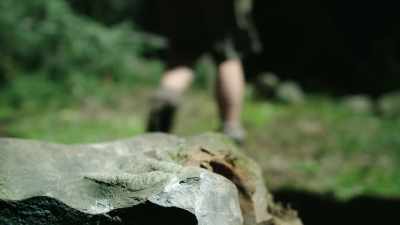 The remoteness of the area - Modern Dinosaurs