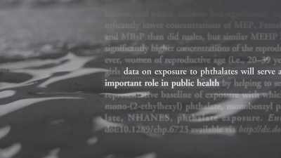 The researchers that I
worked with had a theory, - Toxic Beauty