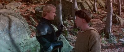 The responsibility is mine - Ladyhawke