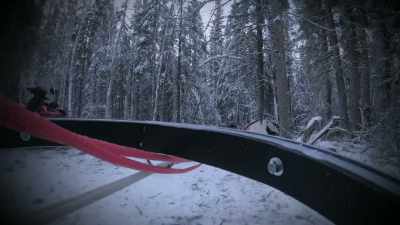 The rest of this sled
practically caved in
when I hit that tree. - Life Below Zero: Next Generation