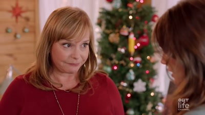 The restaurant will be fine,
and I will be fine. - A Brush with Christmas