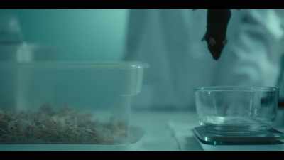 The reversal effect
can be observed in this study - Don't Die: The Man Who Wants to Live Forever