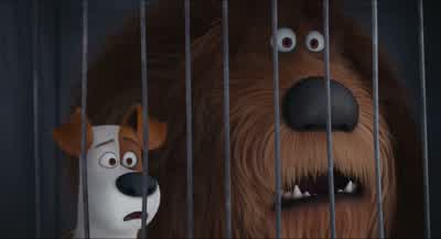 The revolution has begun! - The Secret Life of Pets