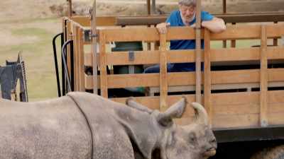 The rhinoceros, the rhino, - Fantastic Beasts: A Natural History