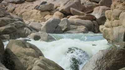 The river is a breeding
ground for blackflies. - Attenborough's Life in Colour