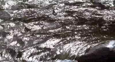 The river was cut
by the world's great flood... - A River Runs Through It