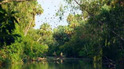 The river is their only salvation. - Hostile Planet