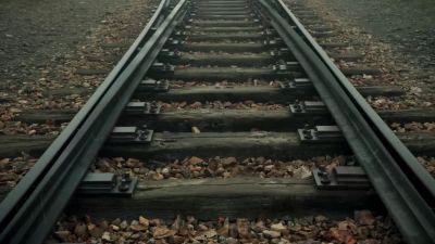 The road to Auschwitz was paved - Exterminate All the Brutes