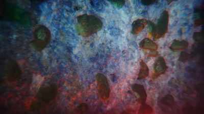 The rocks have
made a place for life. - Cosmos: Possible Worlds