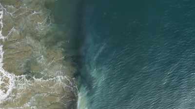 The rolling surf conceals
life-threatening dangers. - Planet Earth III
