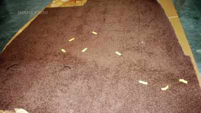 The room where the safe was, - Floribama Murders