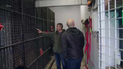 The RSJ's come out the scrapyard.
All this inside meshing - Britain's Tiger Kings - On the Trail with Ross Kemp