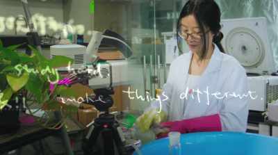 "The rule is simple: - Finding Yingying