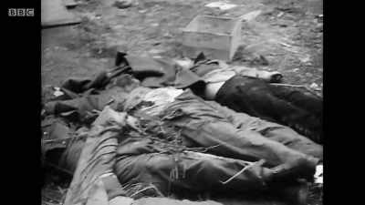 The Russians refuse to deal
with German corpses, - Berlin 1945