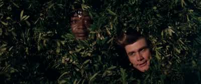 The sacred bat must be in a hut. - Ace Ventura: When Nature Calls